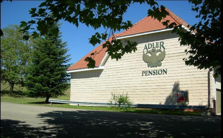 Pension Adler Bannholz Ngoại thất bức ảnh